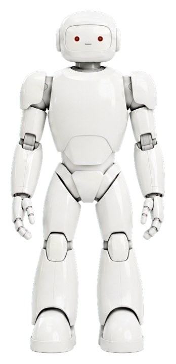 The Skillies robot